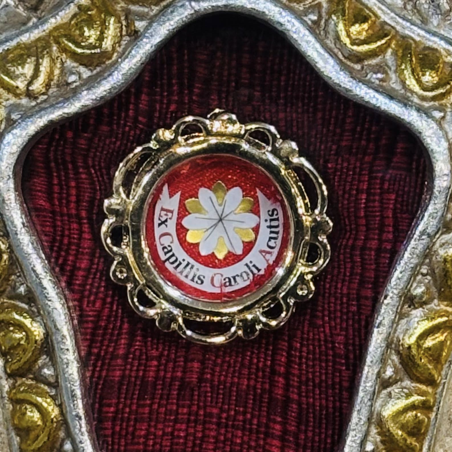 First Class Relic of St. Carlo Acutis, part of the relics collection from the Relic Project.